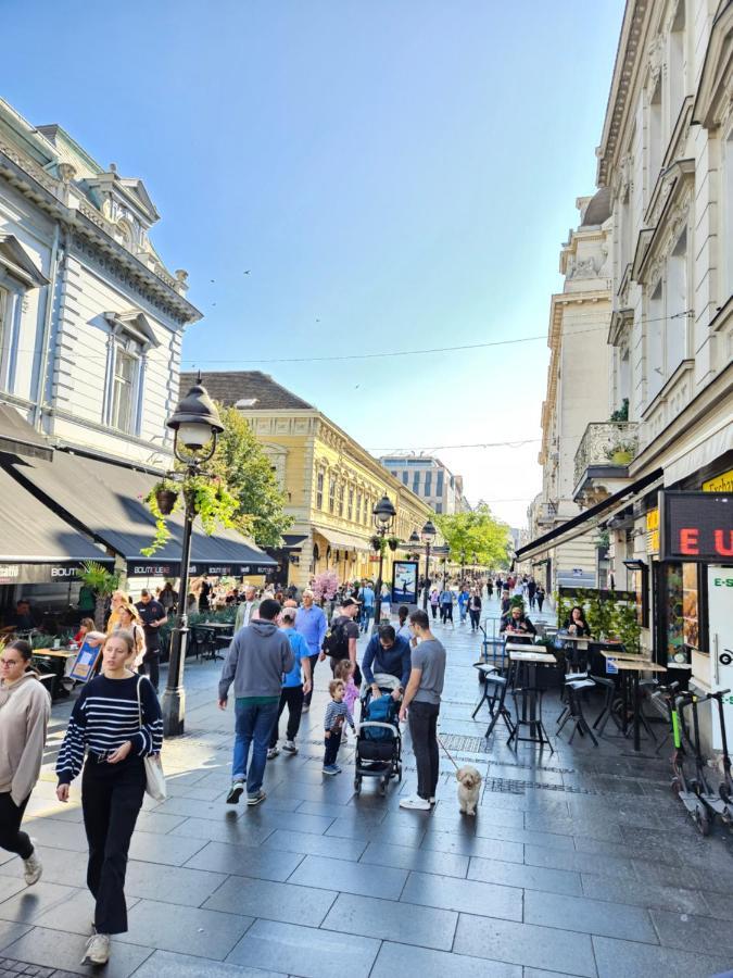 Booking Apartment Rajiceva Belgrád Kültér fotó